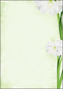 SIGEL Motiv-Papier, Green Flower, A4, 90 g, 25 Blatt
