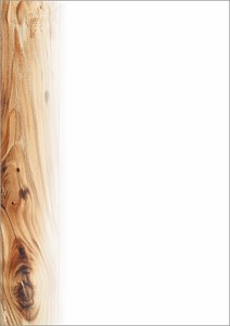 SIGEL Motiv-Papier Eichenholz, braun, 90 g, A4