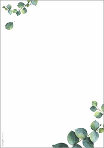 SIGEL Motiv-Papier Eukalyptus, grün, 90 g, A5