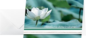 SIGEL Trauer-Karten Water Lily