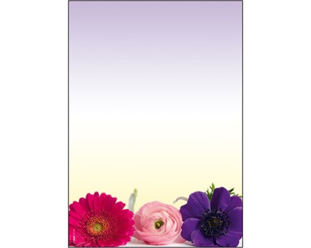 DP003 Masterbild
