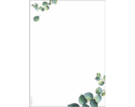 DP682 Masterbild