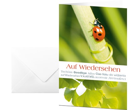 DS045 Masterbild