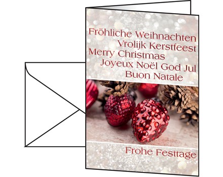 DS061 Masterbild