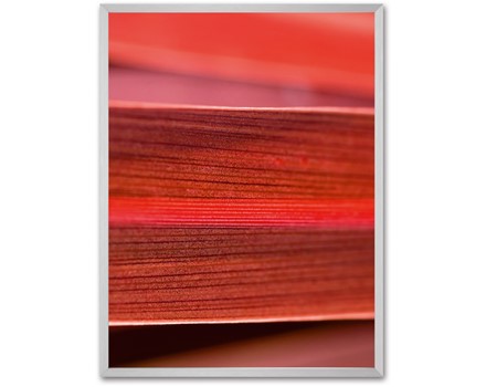 GA305 Masterbild