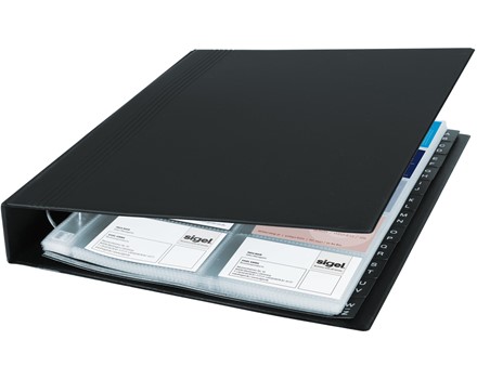 VZ301 Masterbild