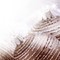 DP020 Detailbild