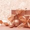 DP231Set Detailbild