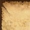 DP240 Detailbild