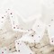 DP250 Detailbild