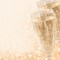 DP299 Detailbild