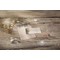 DP664 Detailbild