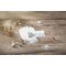 DP686 Detailbild