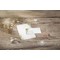 DP689 Detailbild