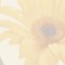 HO380 Detailbild